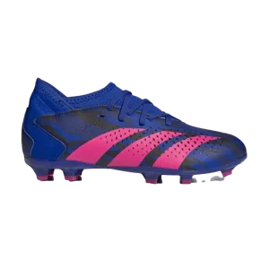 Adidas Predator Accuracy.3 Pogba Youth Firm Ground Cleats