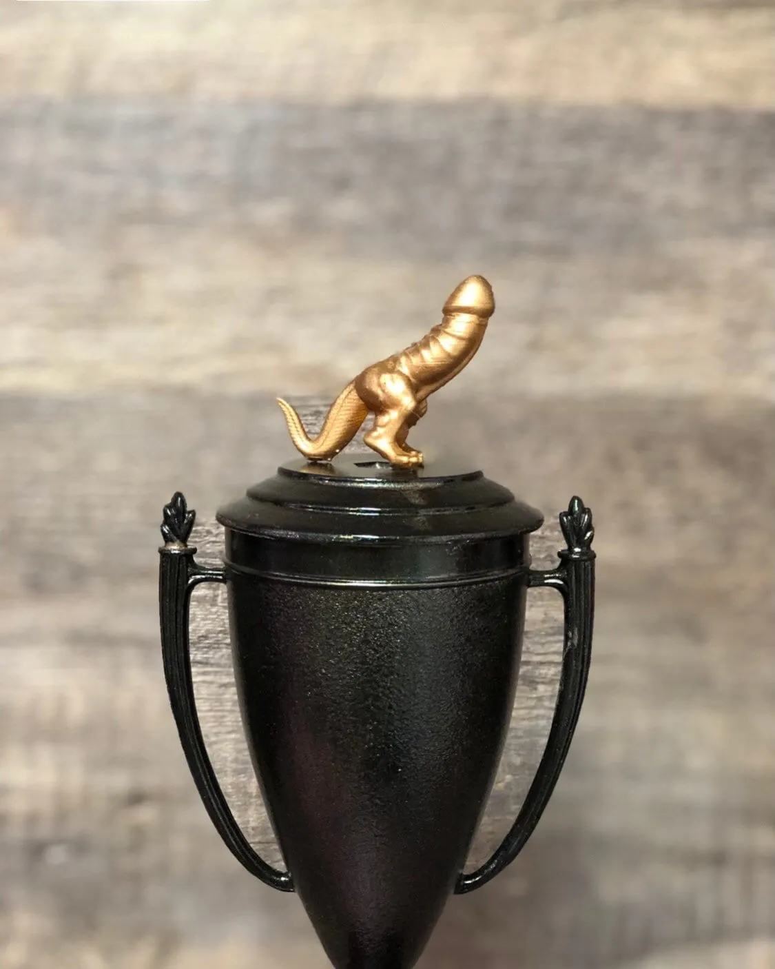 Dickasaurus Funny Trophy Iridescent Cup Award FFL Loser Award Adult Humor Gag Gift Biggest Dick Award Fantasy Football Loser Cup