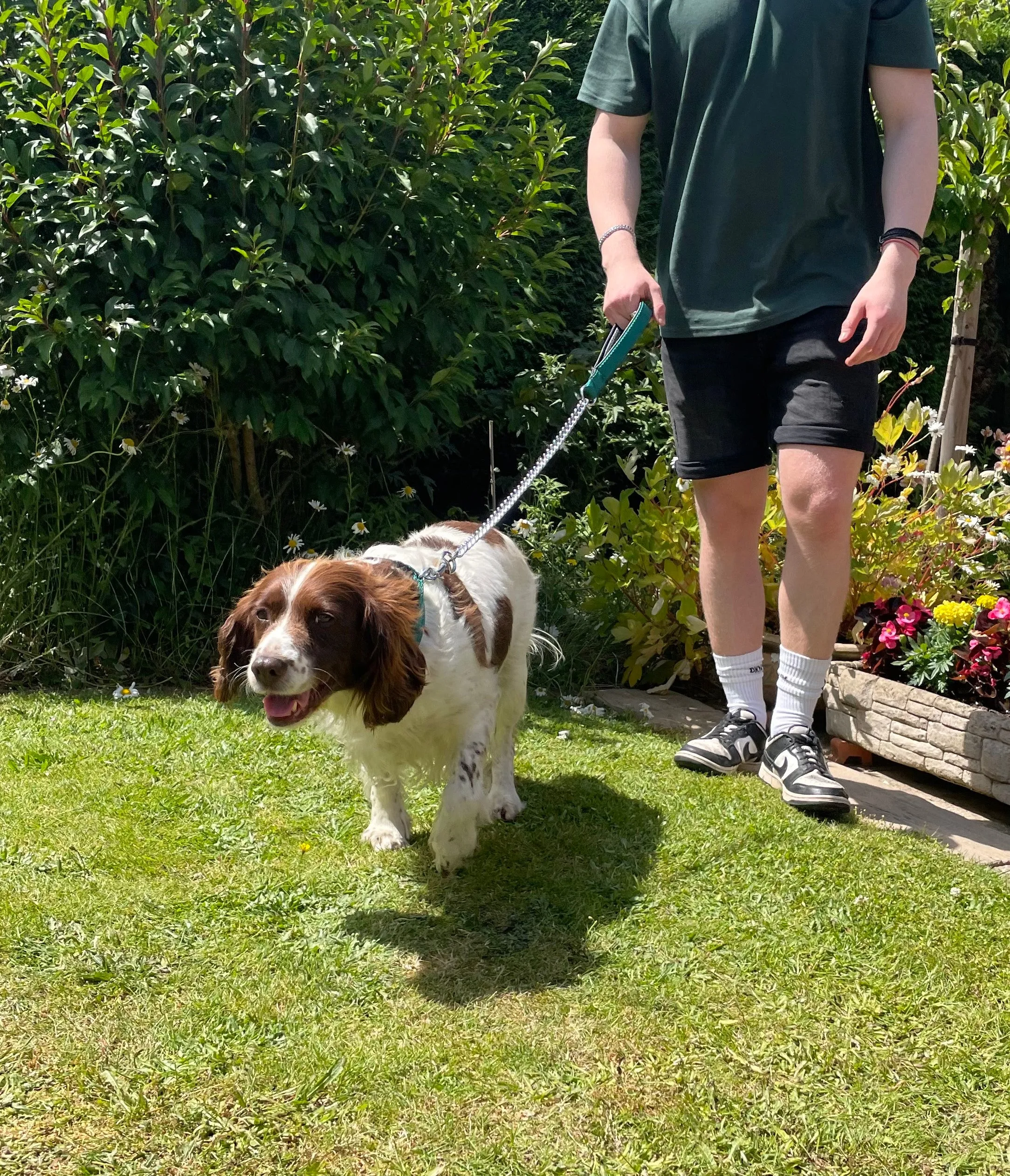 Metal Chain Dog Lead Padded Handle 32" Long 80cm Heavy Duty Short Walking Lead