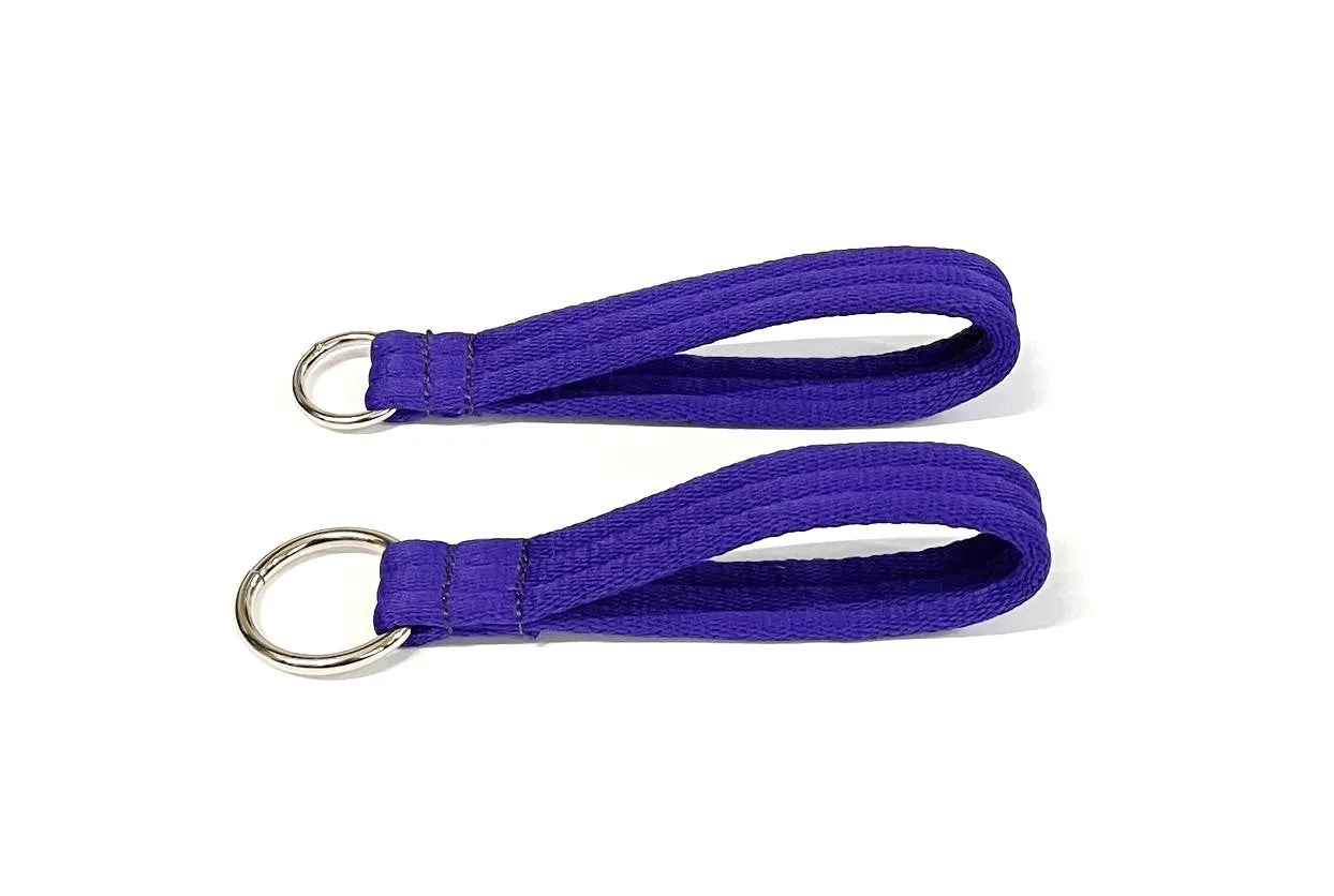 Short Close Control Grab Handle Dog Lead 8" Long With O-ring 25mm Air Webbing