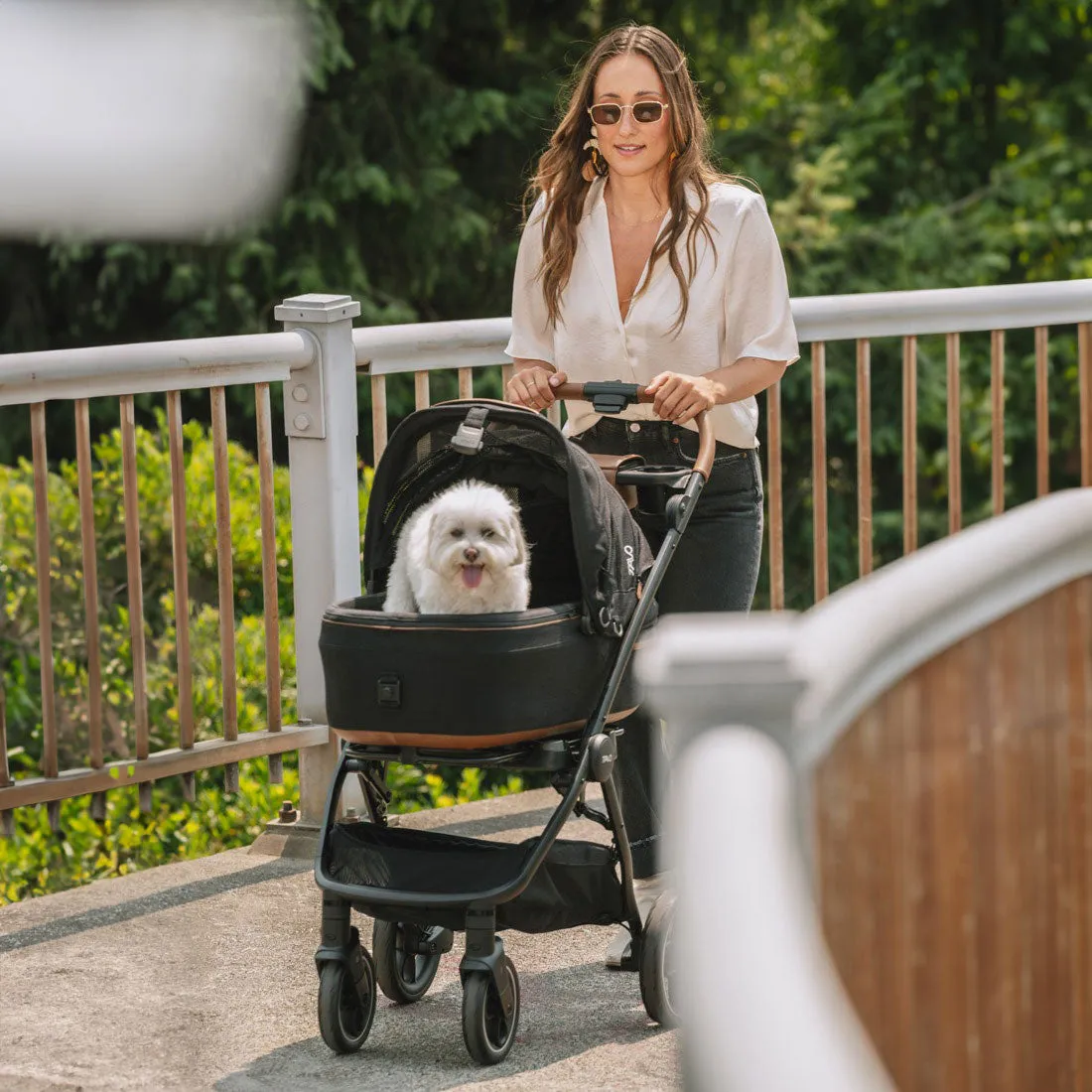 TAVO Pets Roscoe Stroller Frame for Maeve Pet Protection System